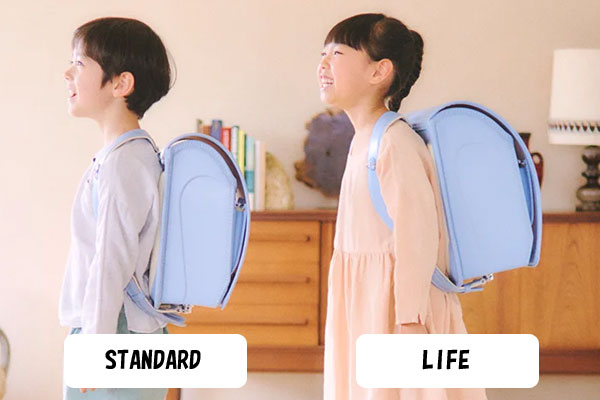 STANDARDとLIFEの大きさ比較