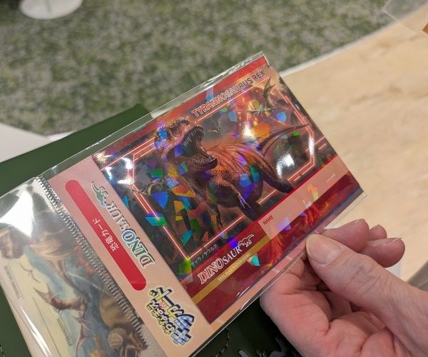 フィットちゃん ディノミー