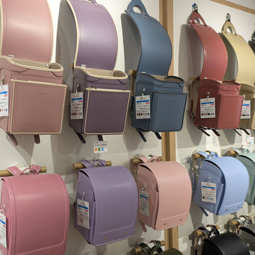 カメレオンリーの展示風景