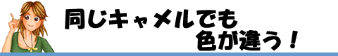 同じキャメルでも色が違う