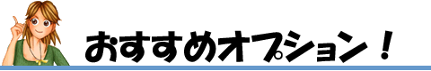 おすすめオプション